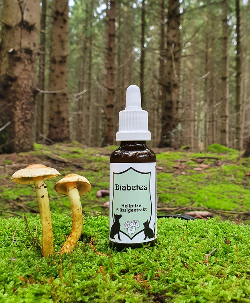 CatAmore medicinale paddenstoelen vloeibaar extract voor dieren mycotherapie DIABETES voedingssupplement 30ml