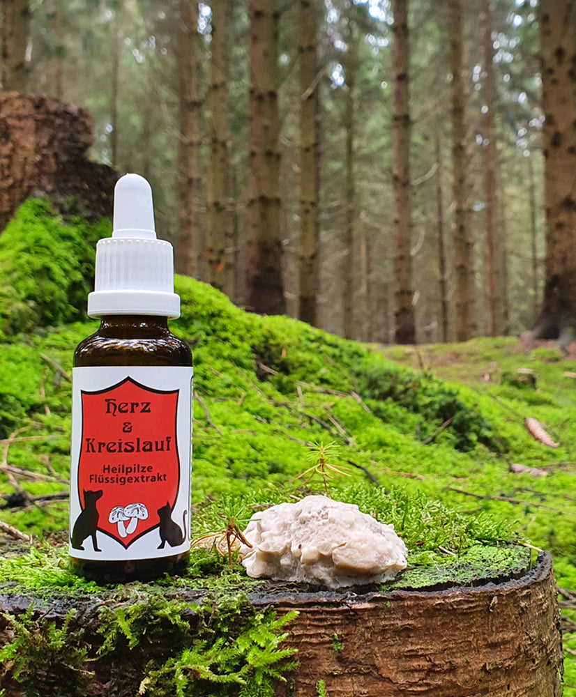 CatAmore medicinale paddenstoelen vloeibaar extract voor dieren mycotherapie HART & CYCLUS voedingssupplement 30ml