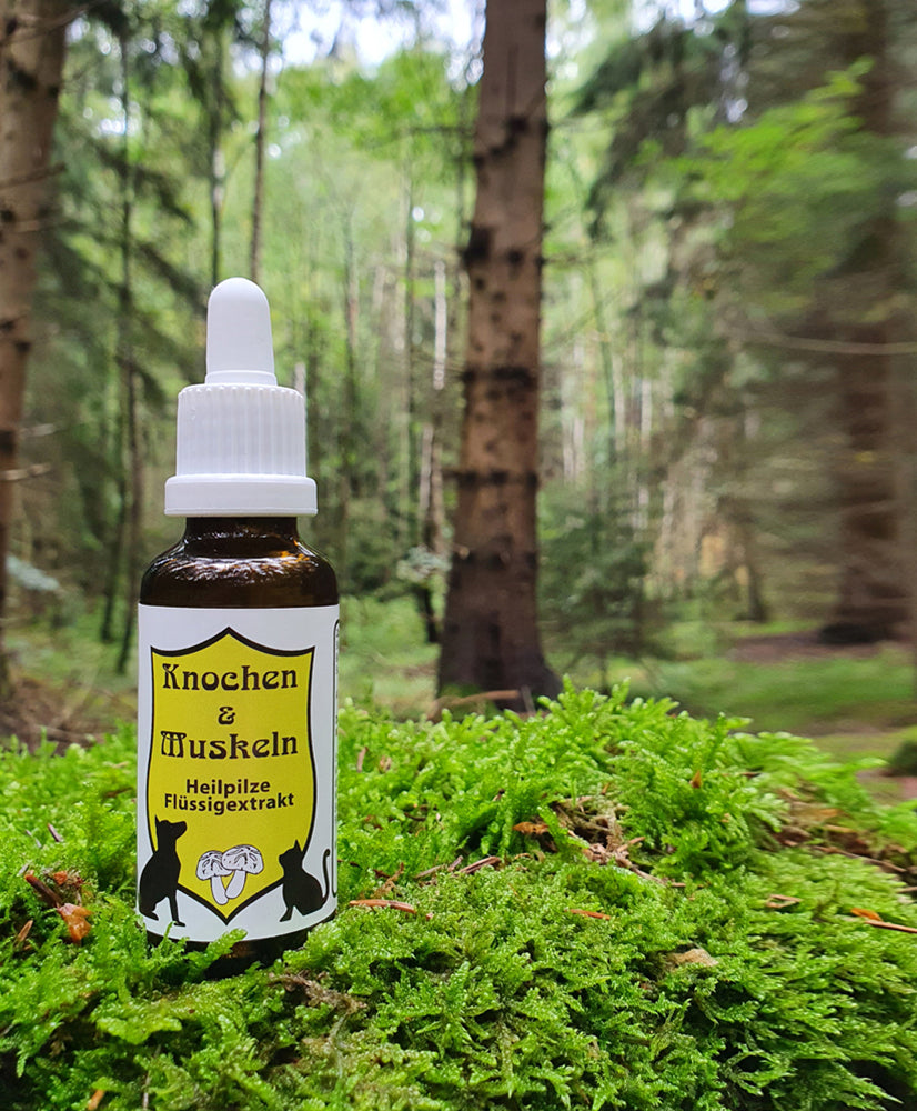 CatAmore medicinale paddenstoelen vloeibaar extract voor dieren mycotherapie BOTTEN & SPIEREN voedingssupplement 30ml