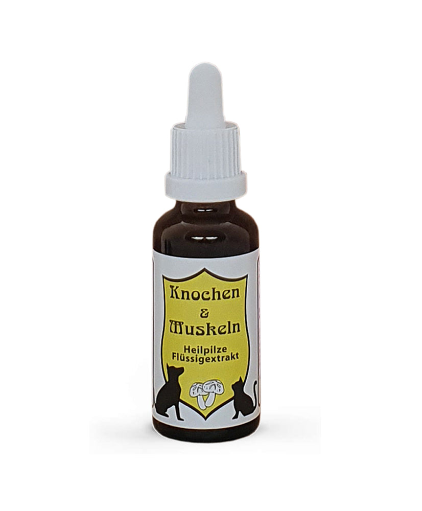 CatAmore medicinale paddenstoelen vloeibaar extract voor dieren mycotherapie BOTTEN & SPIEREN voedingssupplement 30ml