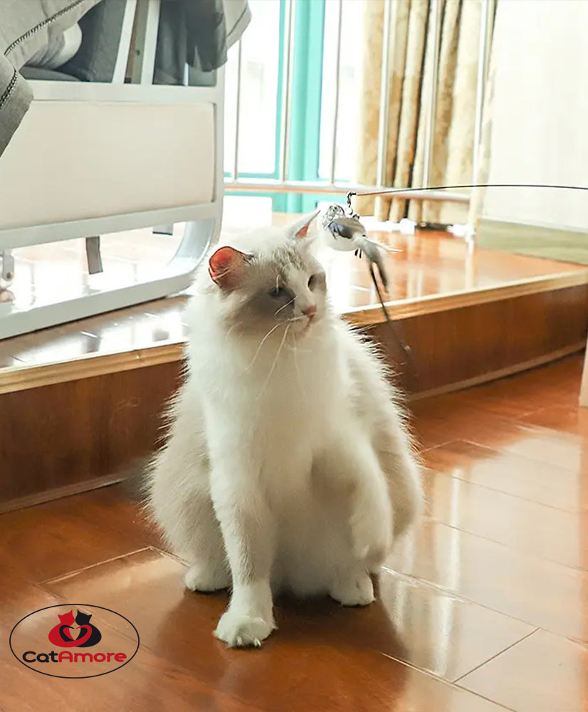 CatAmore interactieve kattenhengel met vogel en zuignap speelhengel belveer 95 cm lang