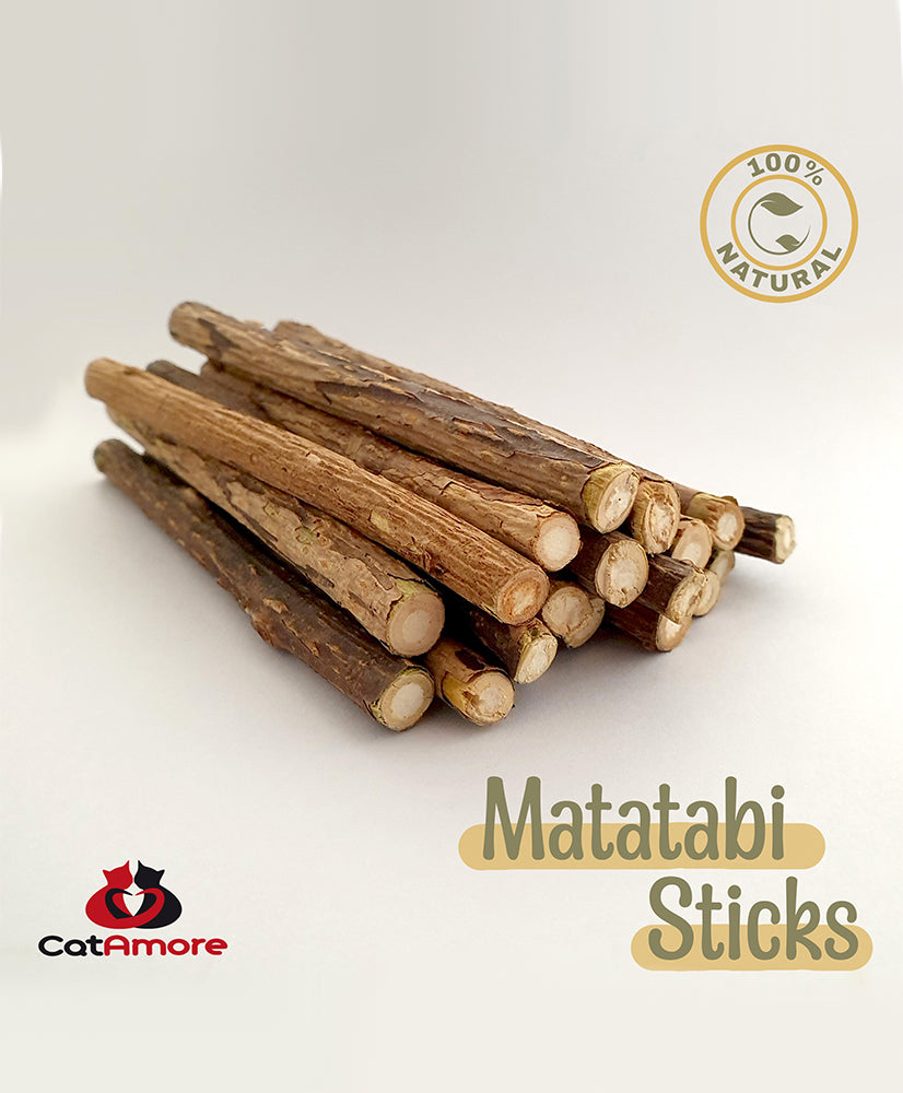 CatAmore 20x Matatabi kattensticks gebitsverzorging natuur gemaakt tegen slechte adem kattenspeeltje kauwspeeltje kauwsticks