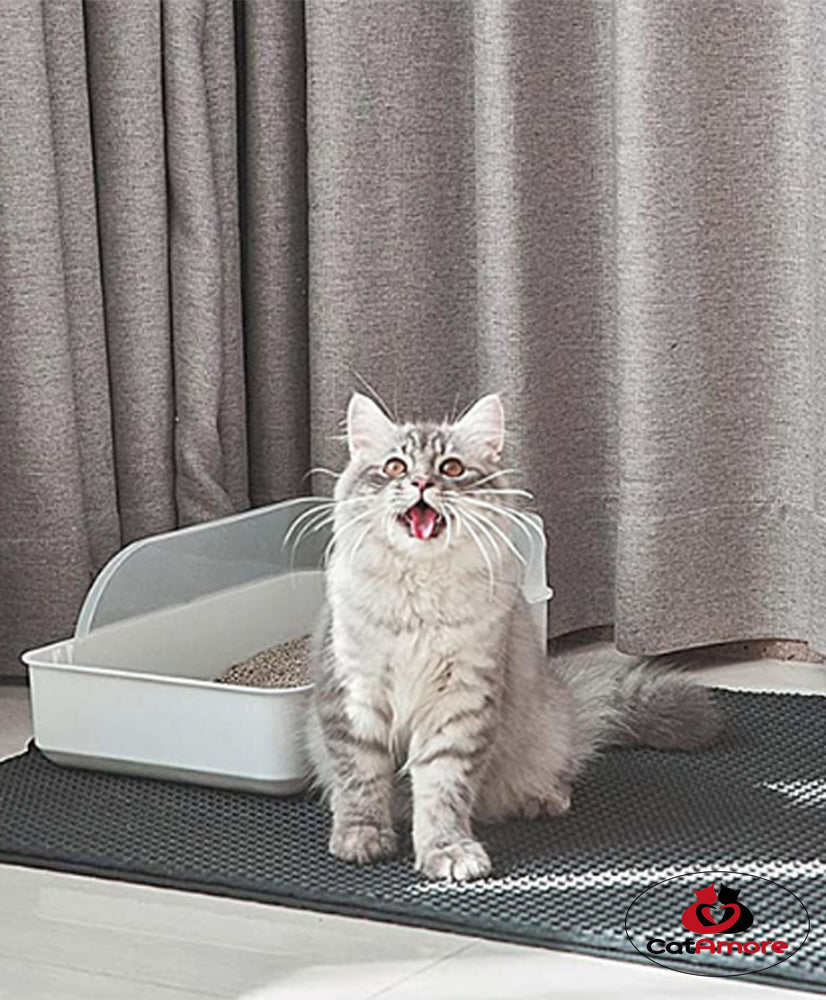 Tapis de litière pour chat XXL grand tapis de litière pour bac à litière comme tapis de sol pour toilette de chat sous-couche 2 différentes tailles