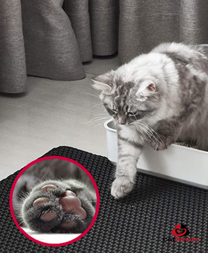 Tapis de litière pour chat XXL grand tapis de litière pour bac à litière comme tapis de sol pour toilette de chat sous-couche 2 différentes tailles