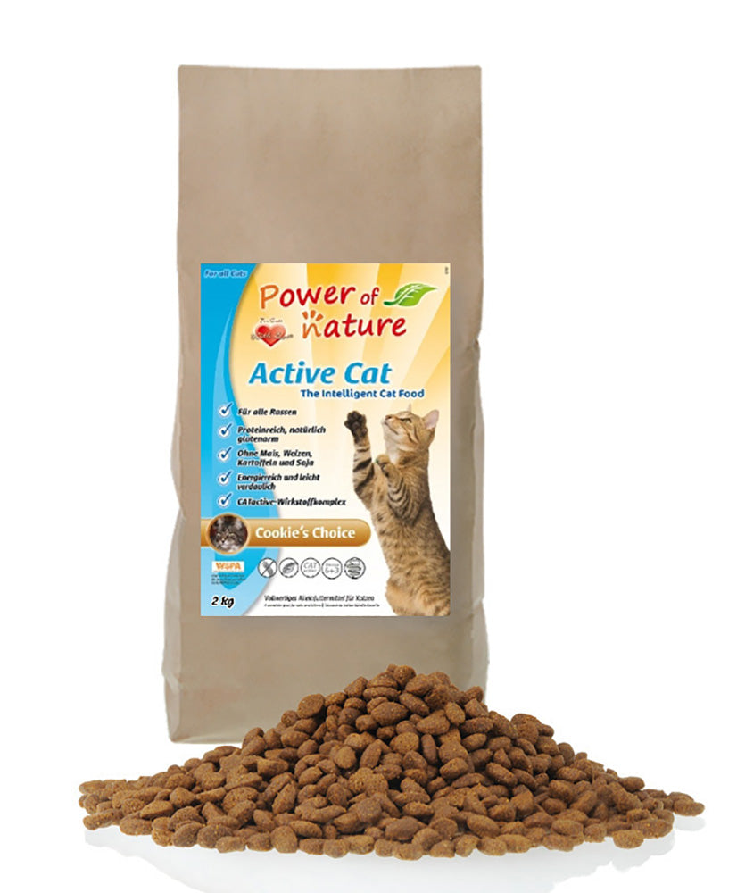 Active Cat Cookies Choice 2kg