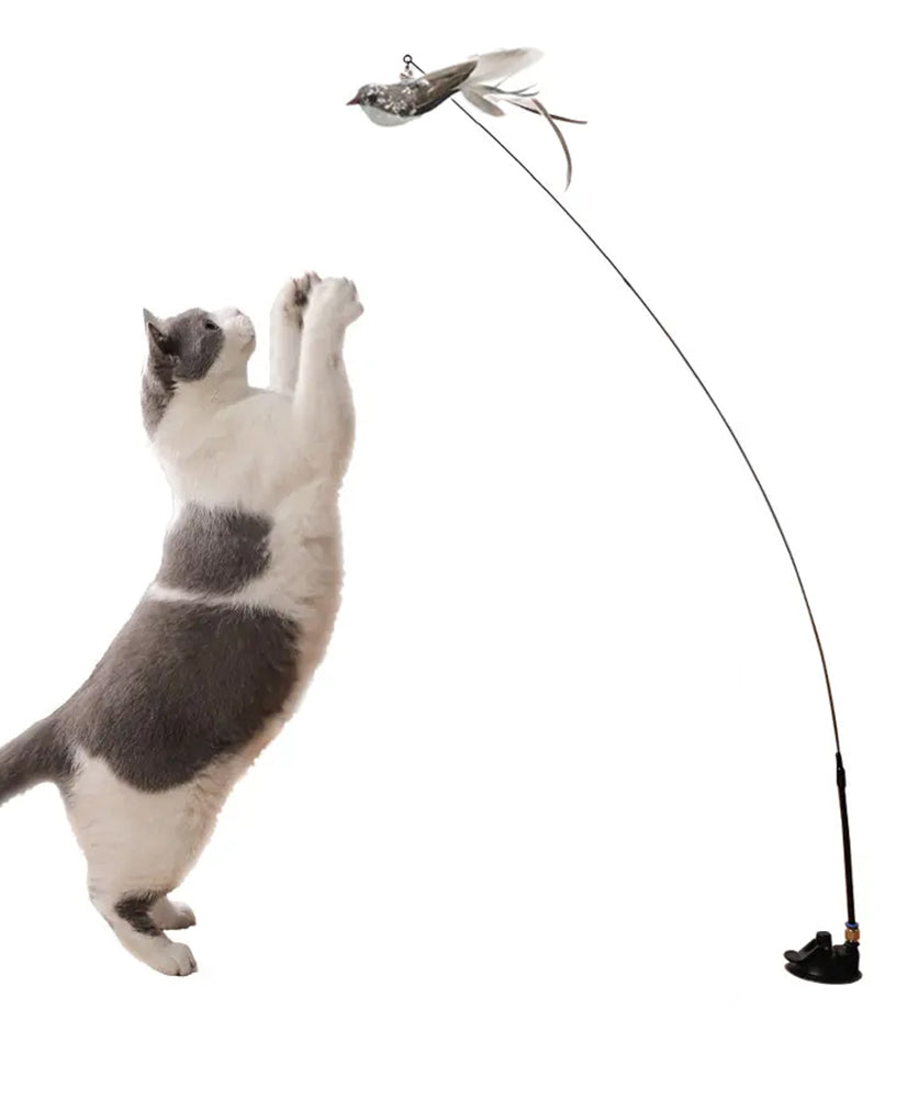 CatAmore interactieve kattenhengel met vogel en zuignap speelhengel belveer 95 cm lang