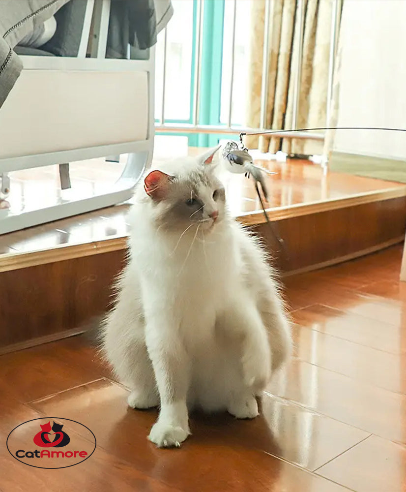 CatAmore interactieve kattenhengel met vogel en zuignap speelhengel belveer 95 cm lang